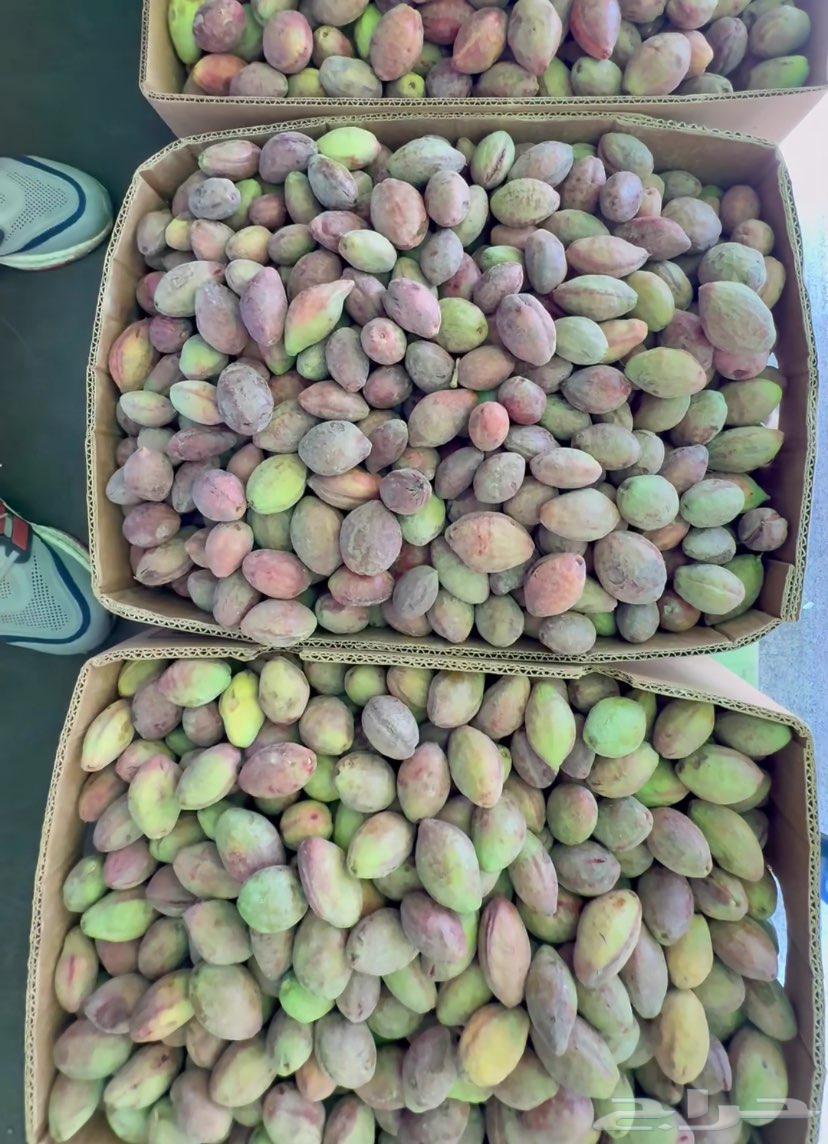 لوز ويوجد توصيل64620655236866110