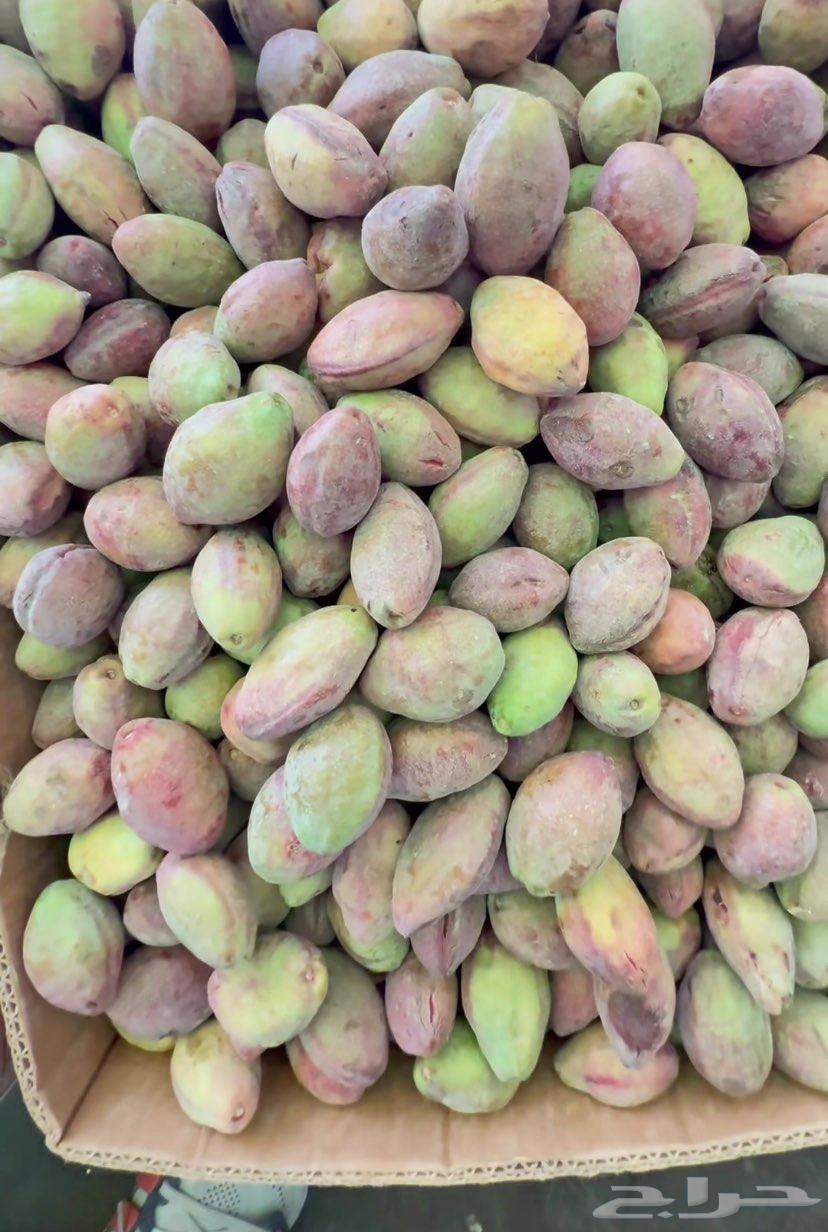 لوز ويوجد توصيل64620655236866112