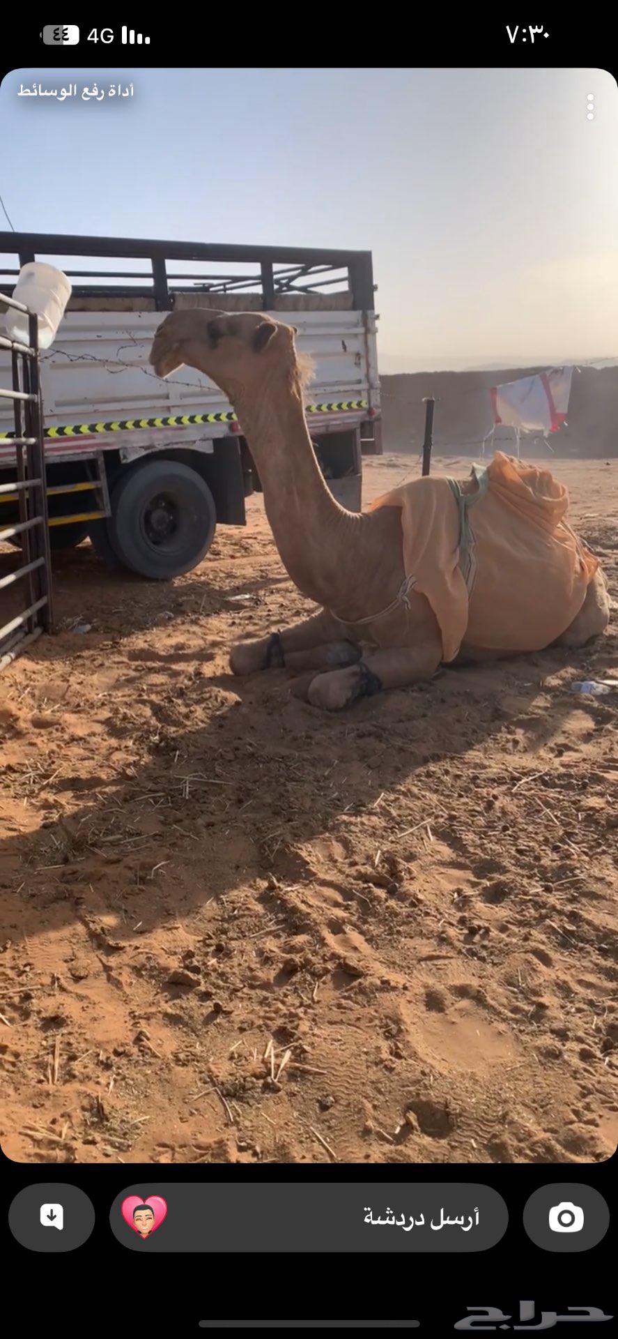 Al-Duwadmi64617363530369110