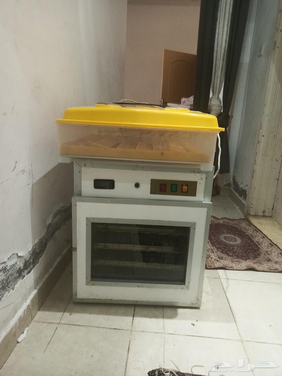 فقاسات للبيع أوتوماتيك64610530488450111