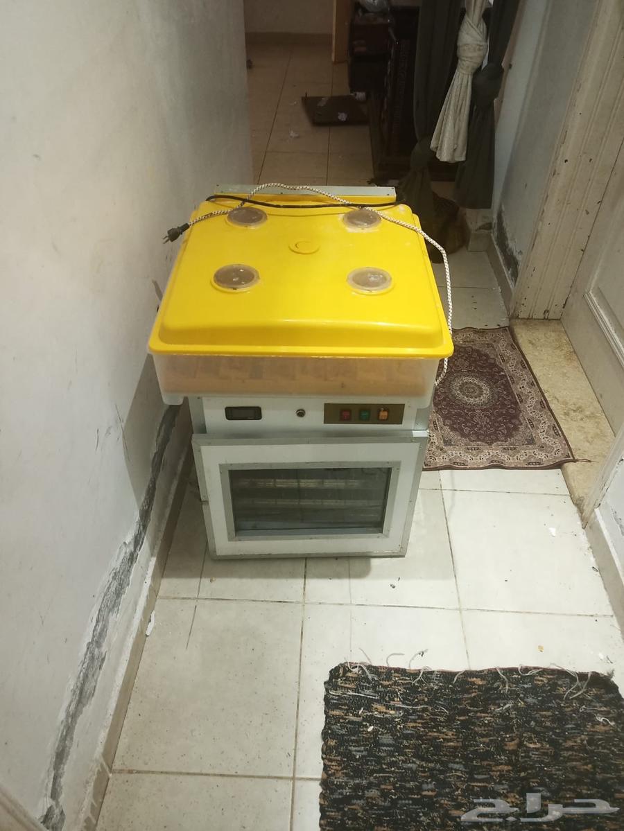 فقاسات للبيع أوتوماتيك64610530488450110