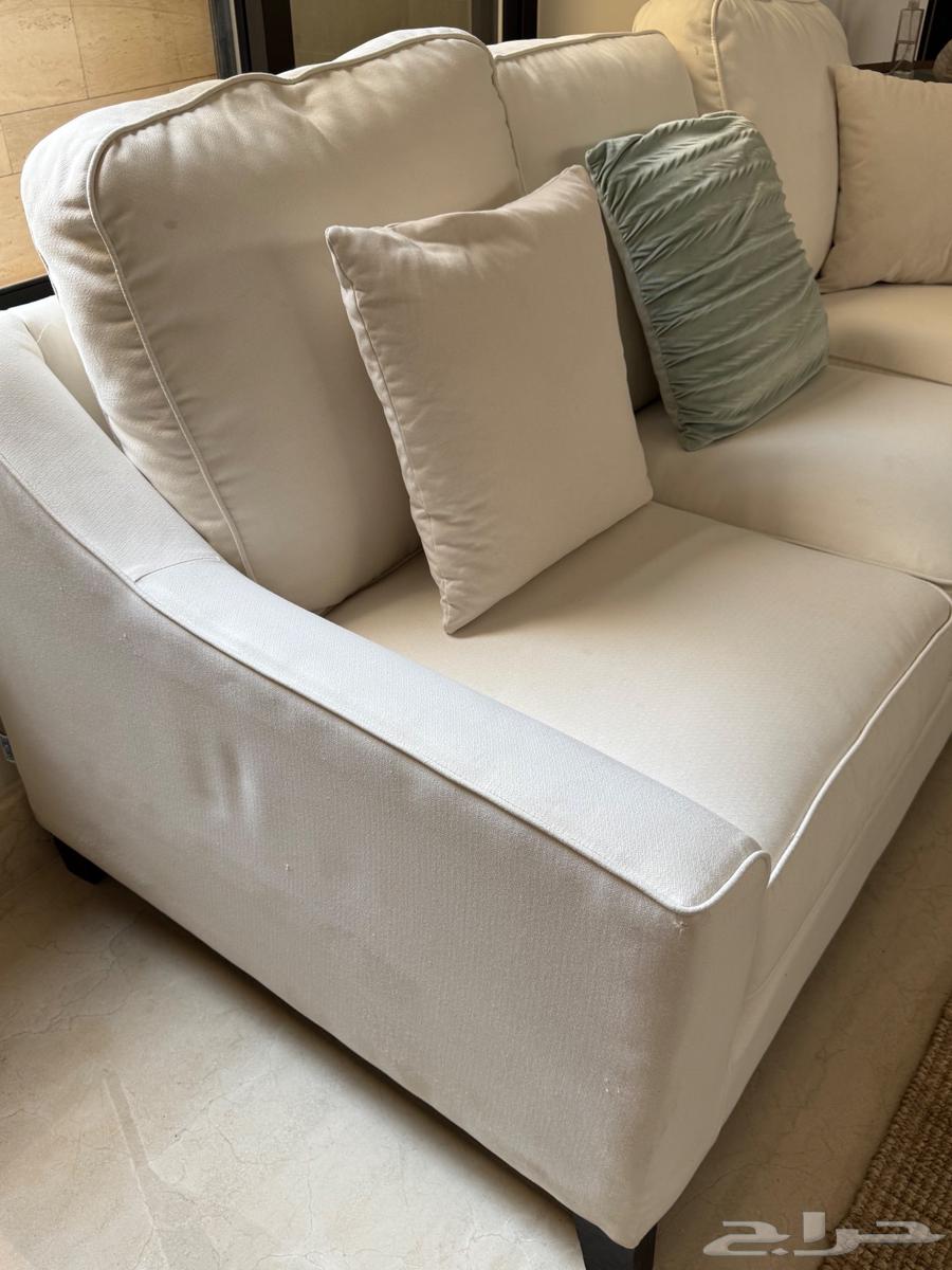 كنب ذا فاكتوري64618904647553111