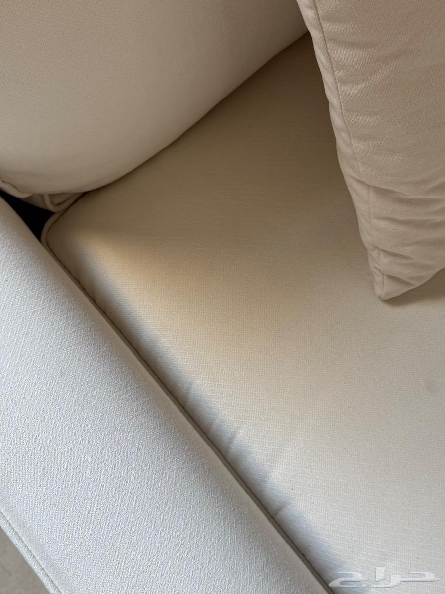 كنب ذا فاكتوري64618904647553112