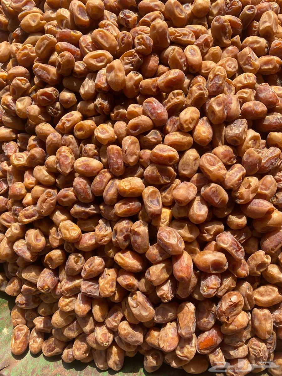 Al-Ikhlās Dates in Cardboard Boxes for Sale64619280010370110