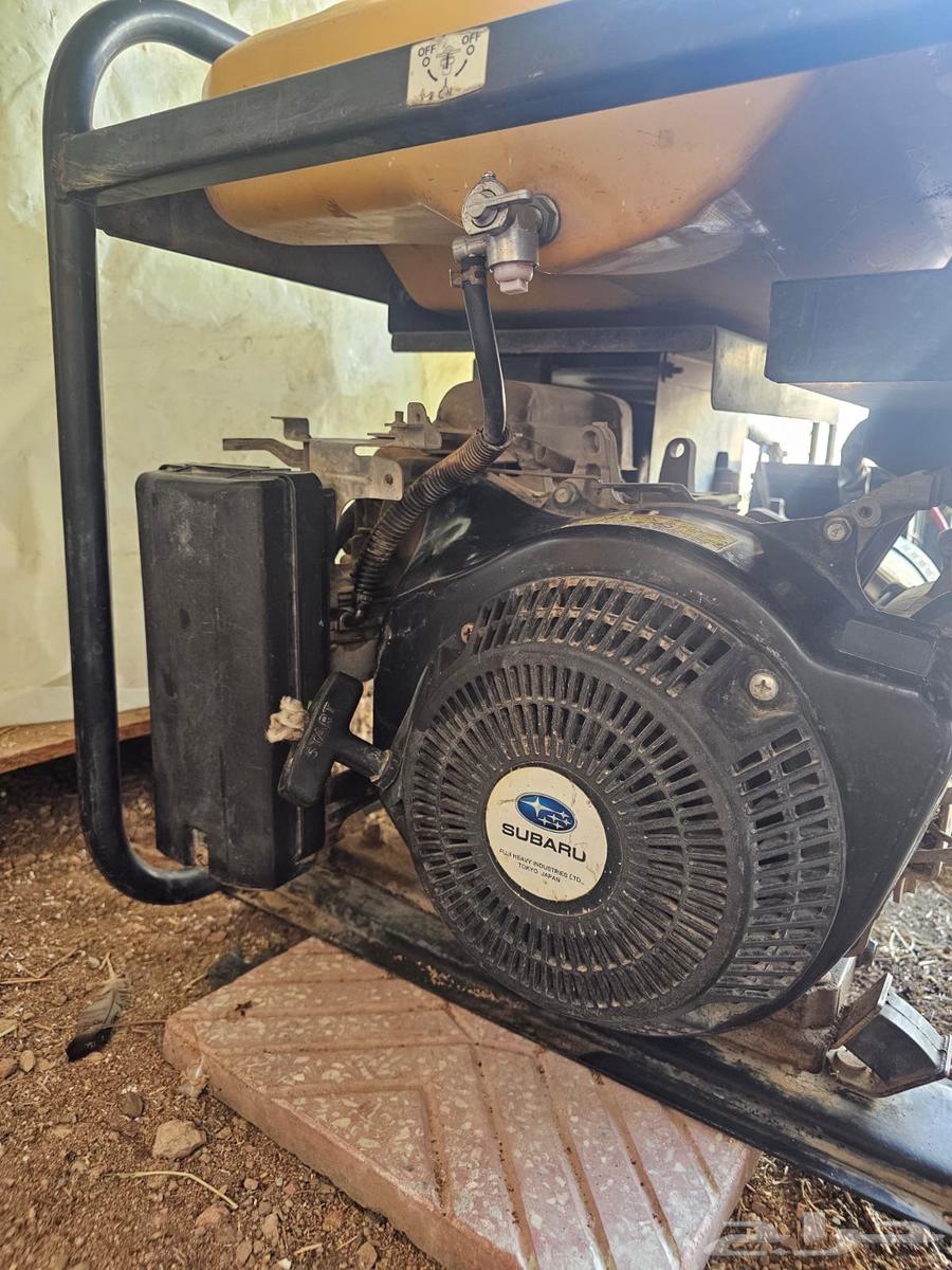 المدينه المنورة64620717509379110