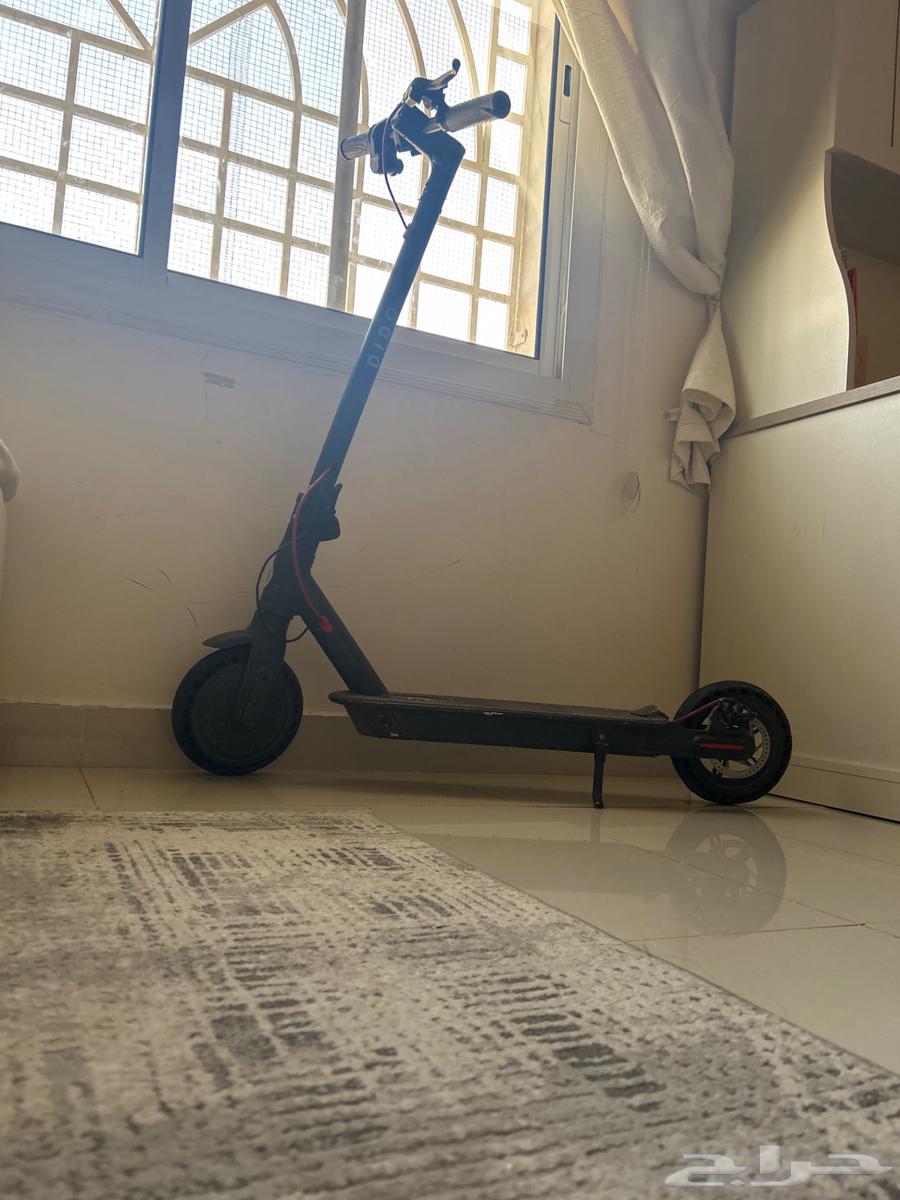 6130 أبو شعيب الحرانى - حي البركة64621355490946110