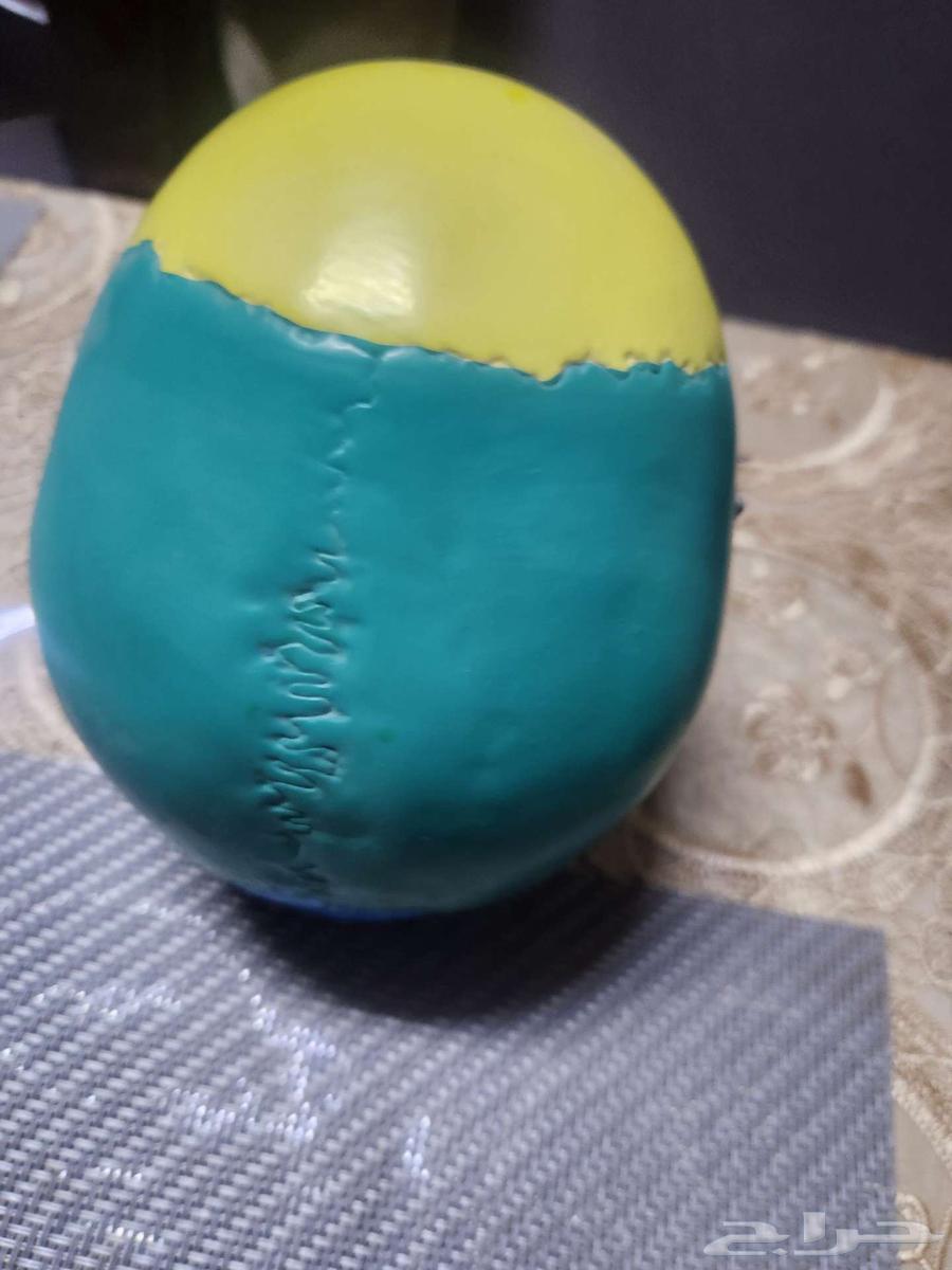 جمجمة للبيع لطلاب الطب و طب الاسنان حالة ممتازة64621817147521110