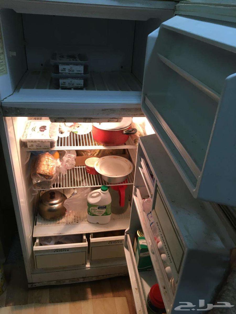 Hass Refrigerator, 18 Feet, in Good Condition64624732380673111