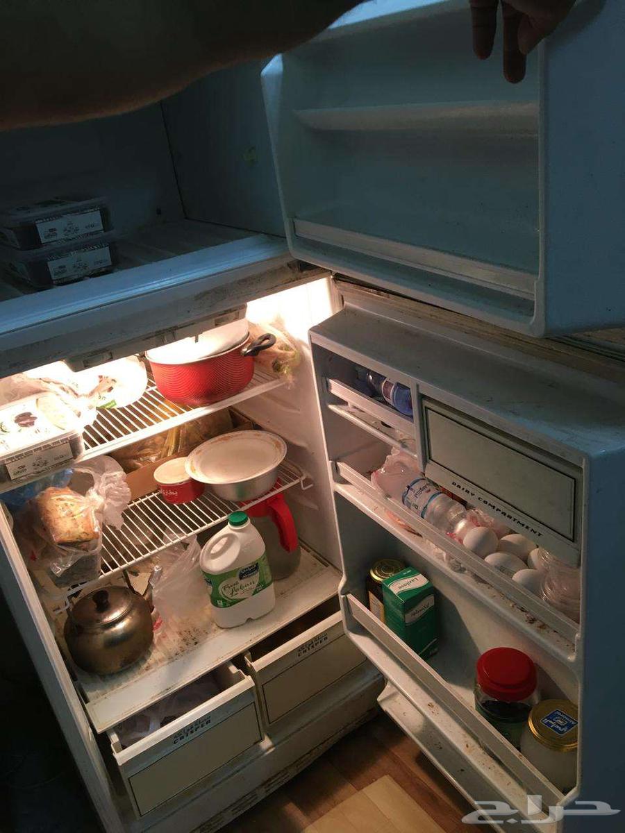 Hass Refrigerator, 18 Feet, in Good Condition64624732380673112