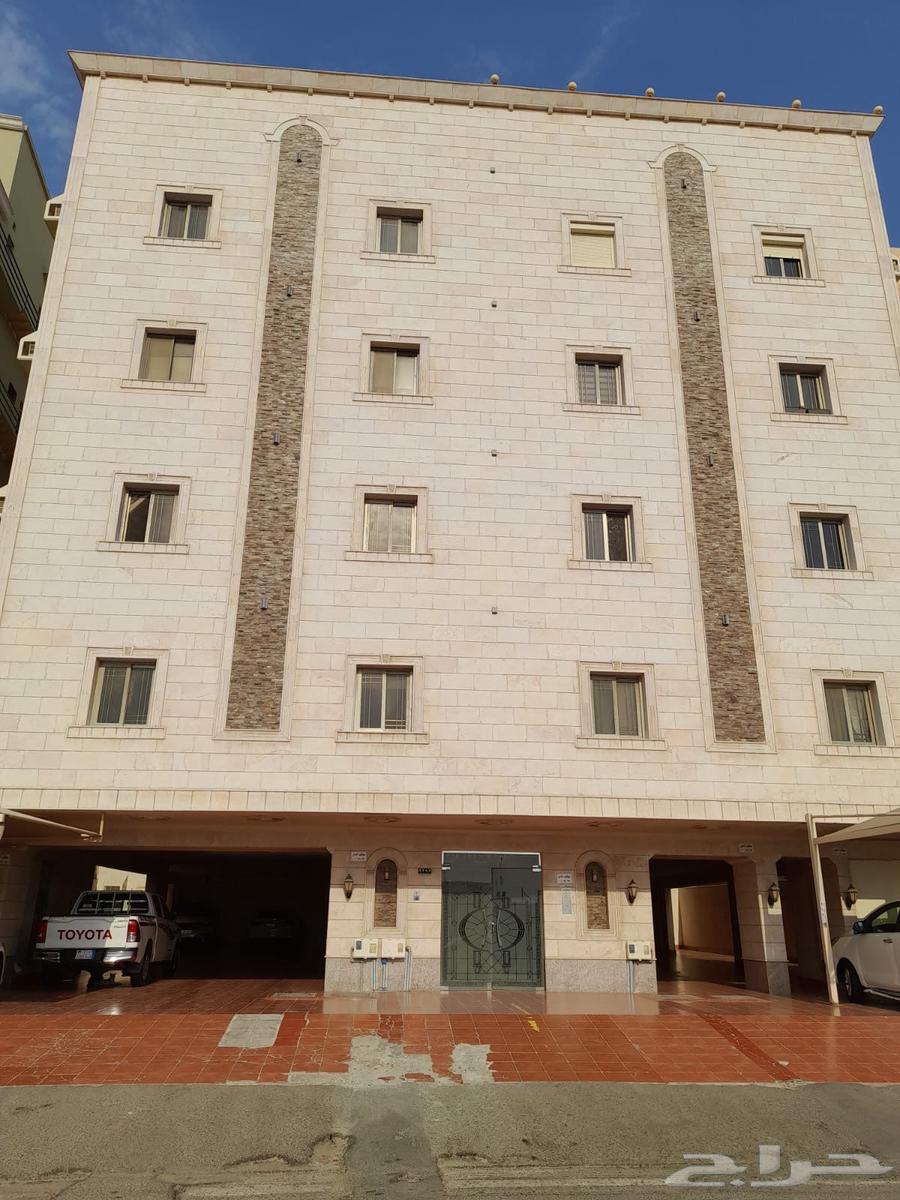 شقة للإيجار