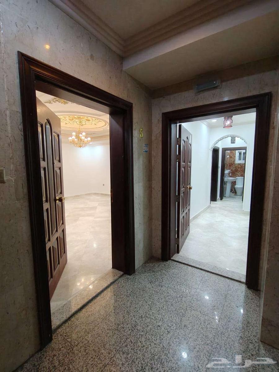 شقة للإيجار