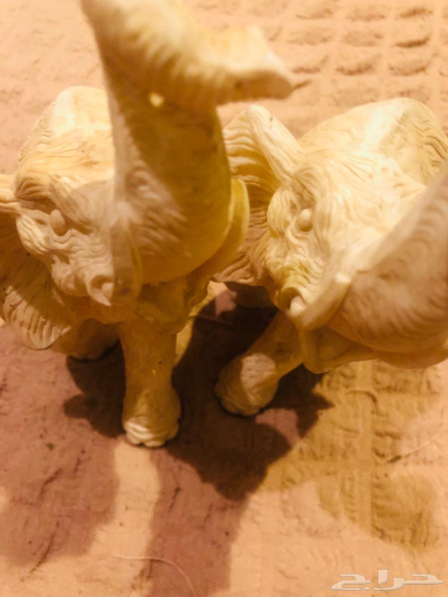 اثنين فيل للبيع64625453890689110