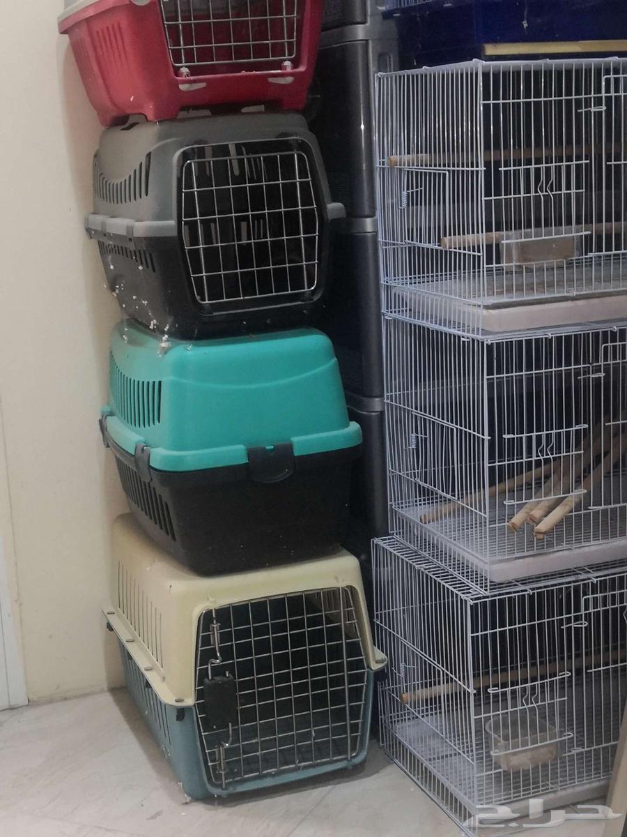 قفص للطيور والقطط64618277321601110