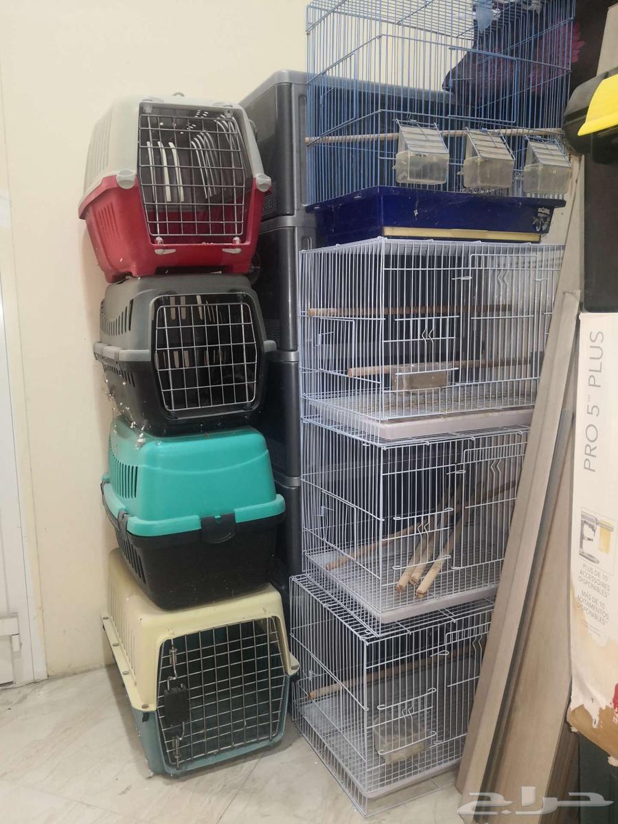 قفص للطيور والقطط64618277321601111
