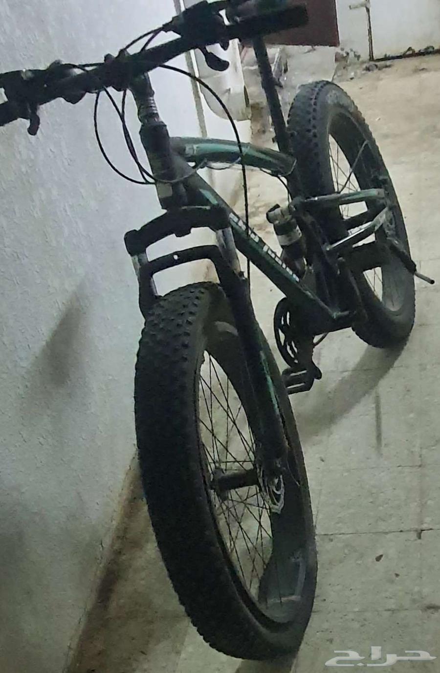 سيكل فات بايك بحائل64621592182915110