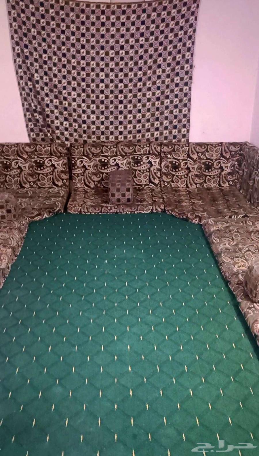 مجلس عربي مع سجاده لون خضر جديده64619854936577110