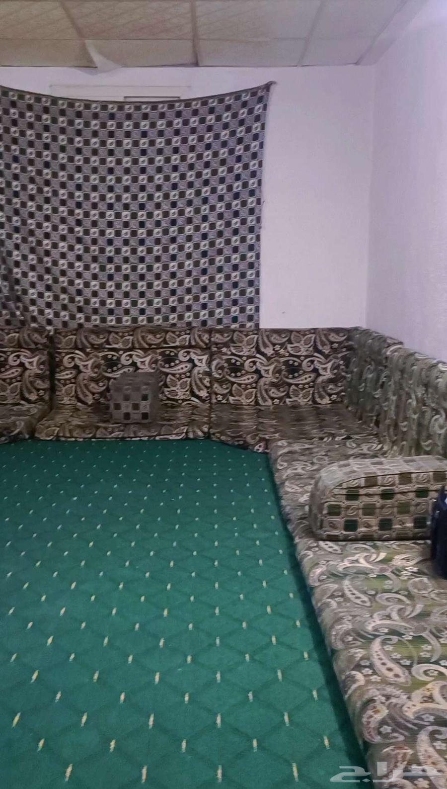 مجلس عربي مع سجاده لون خضر جديده64619854936577111