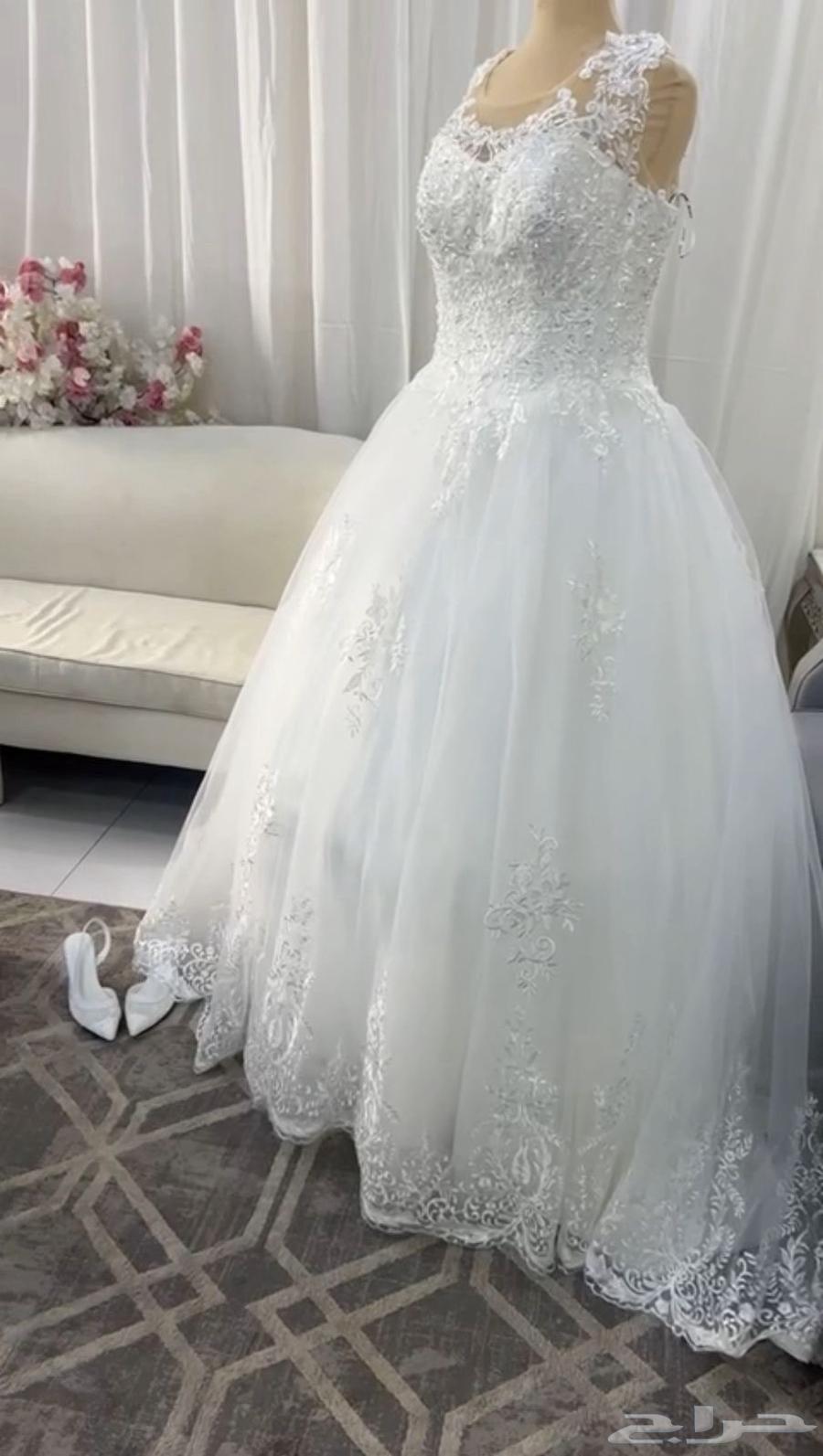 بريده   المليداء64622425738369111