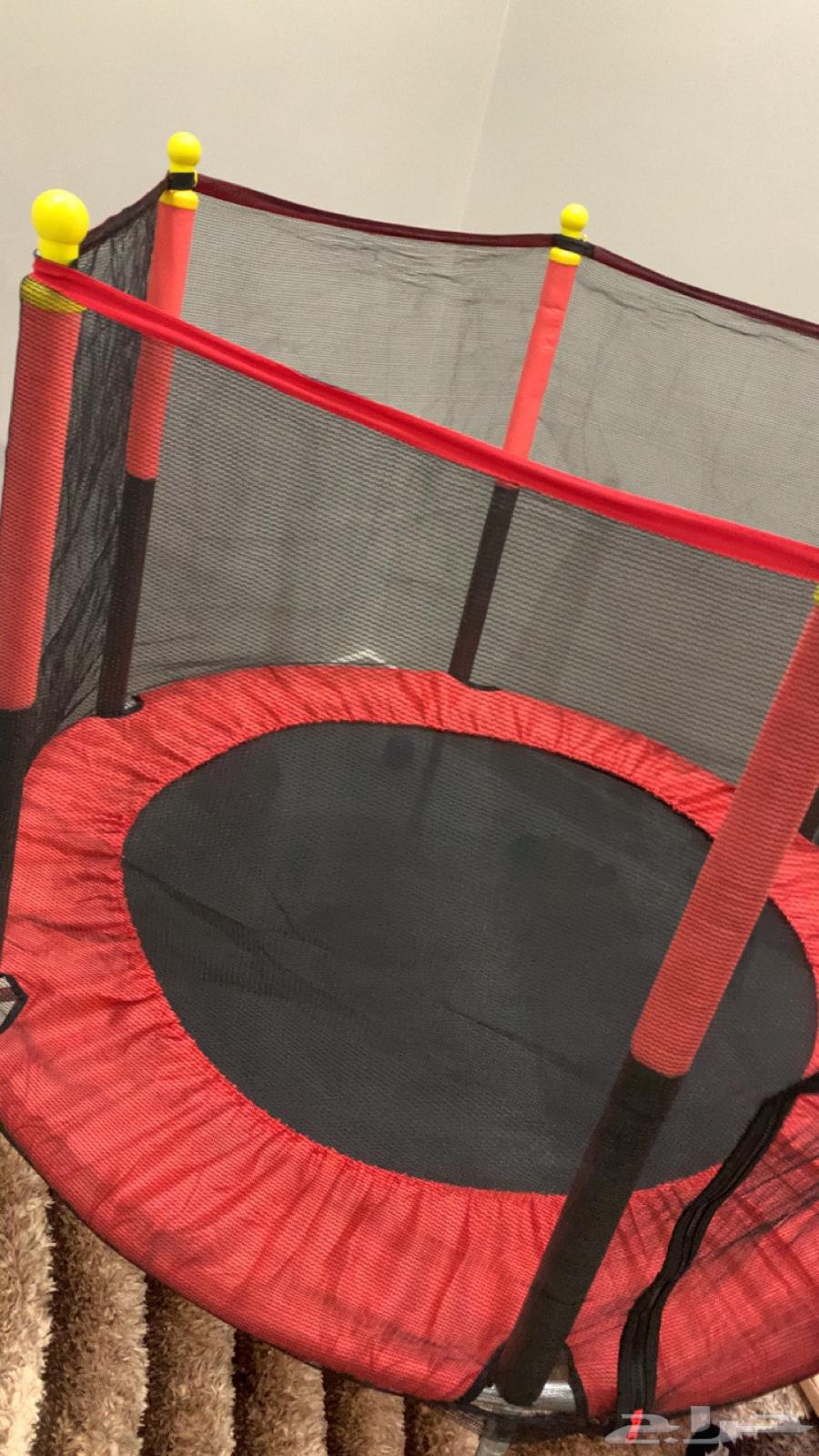 نطنيطة جديدة للبيع64621517564930111