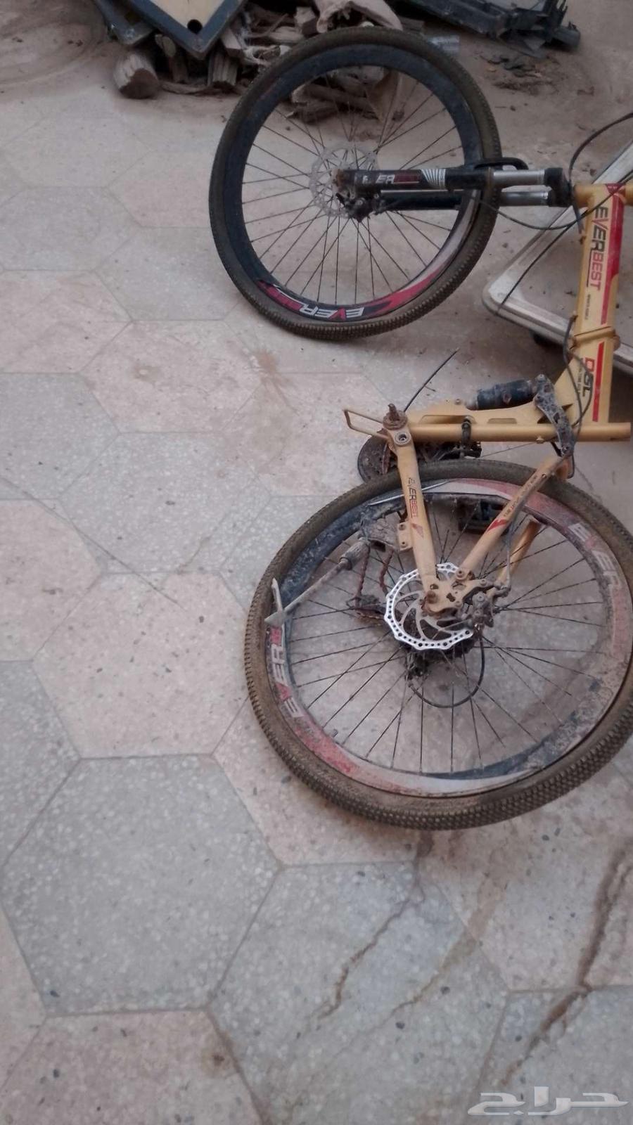 للبيع 3 سياكل 2 مقاس 20 والثالث سباق64617937896707111