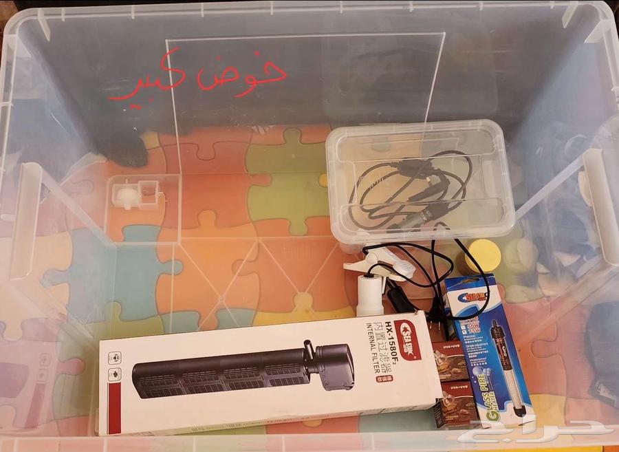 حوض سلاحف مائيه وملحقاته64558307983233112