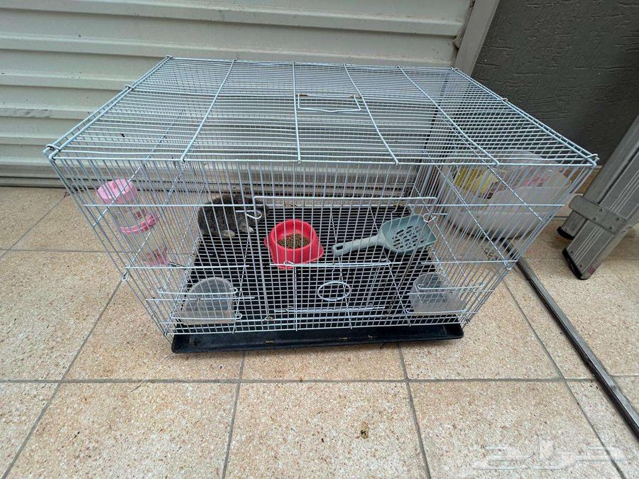 قفص أرانب أو قطط64620354801154110