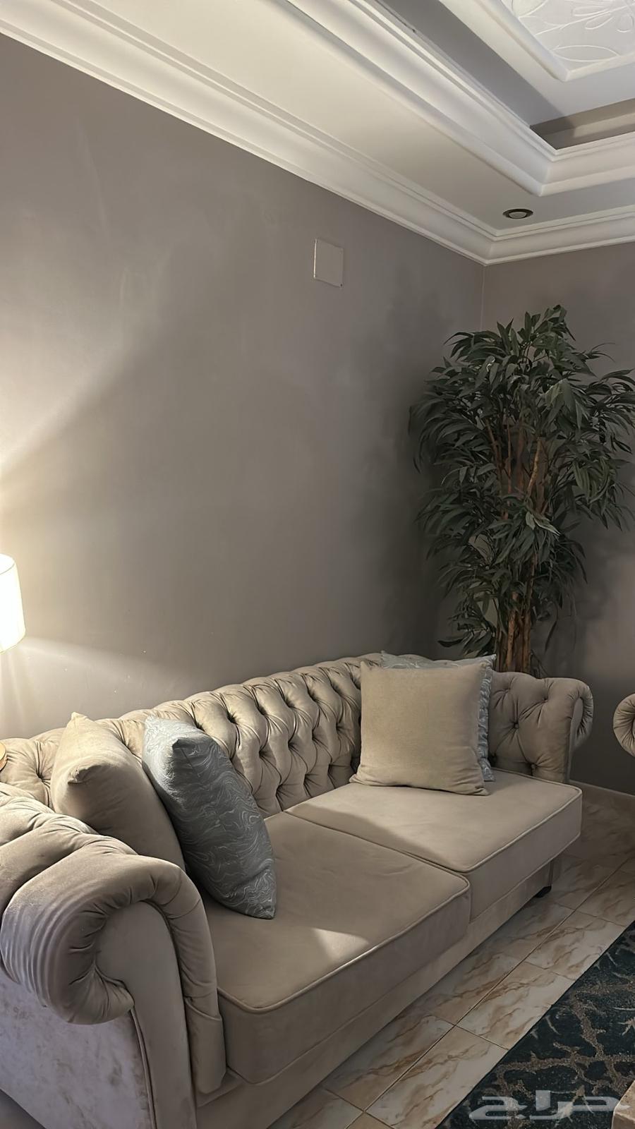 كنب مجلس مستعمل في جدة مكان الشراء هوم سنتر64536431587587110