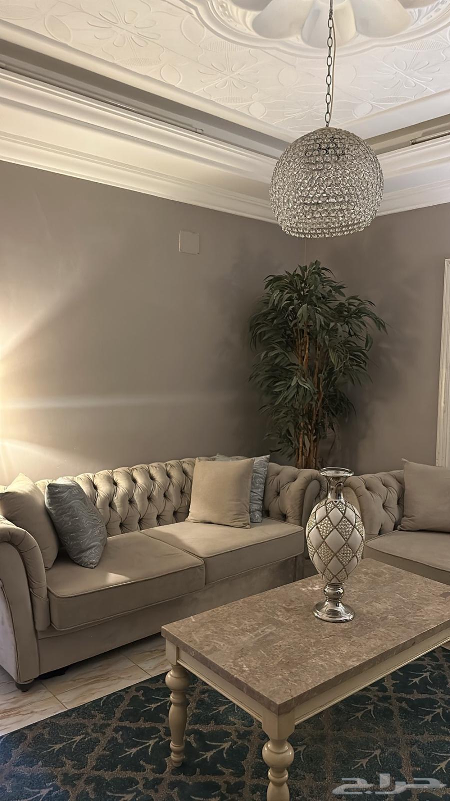 كنب مجلس مستعمل في جدة مكان الشراء هوم سنتر64536431587587114