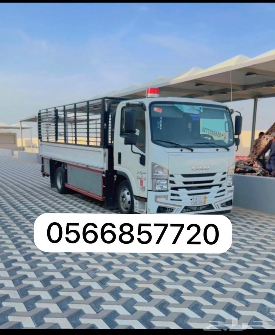 دينا نقل عفش دينه لنقل البضايع داخل المدينه وخارجها64164983944707111