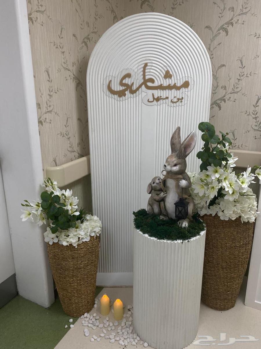 مدخل استقبال ولادة بثيم ارنب للبيع64617175672450110