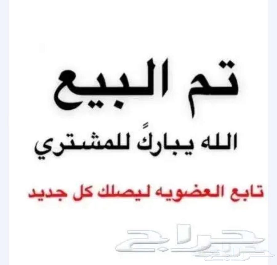 شيرازيات بارلس ولافندر64420431763073110