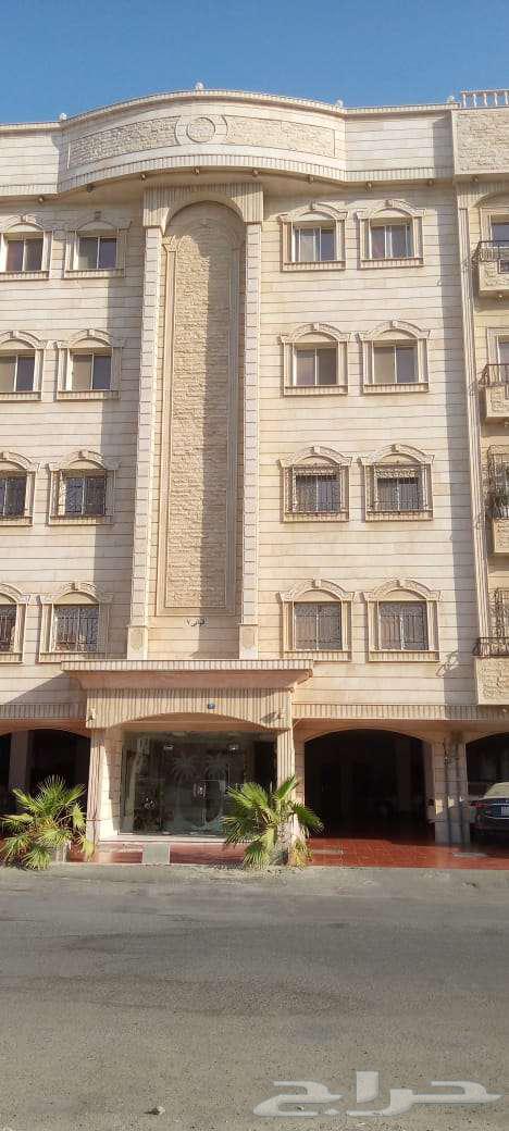 شقة للإيجار