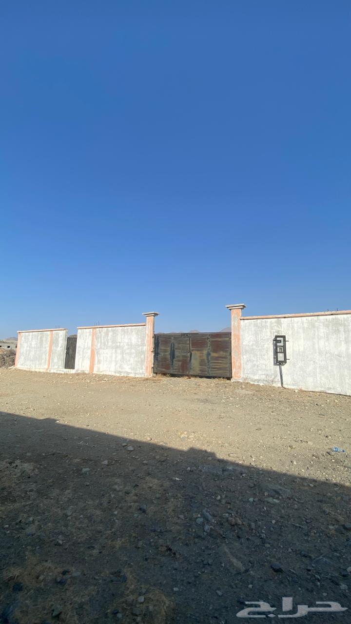 حوش وغرف للايجار مكة الراشدية64149646336770111