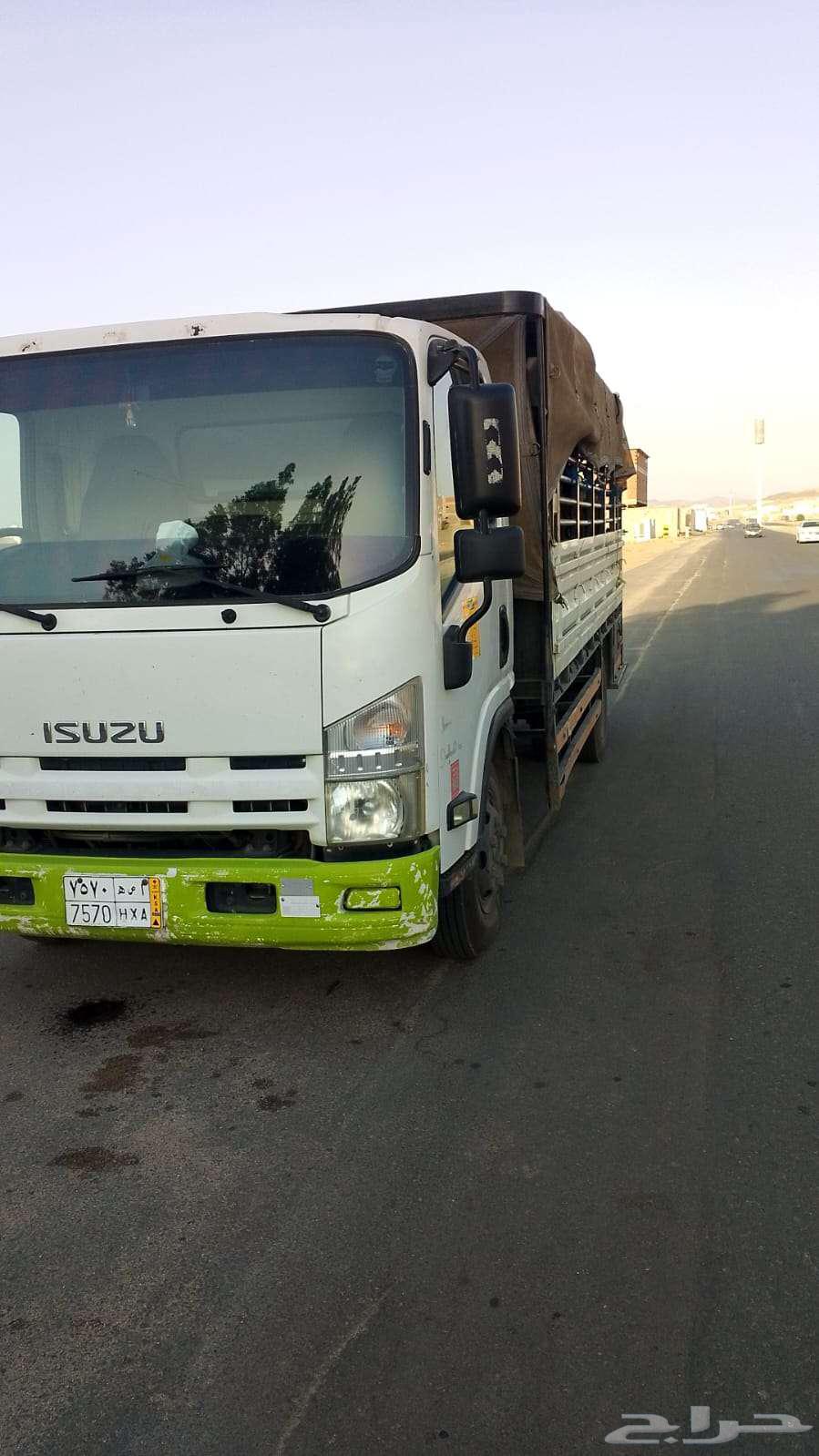 دينا مشوار او يجار داخل مملكة64190889003393110