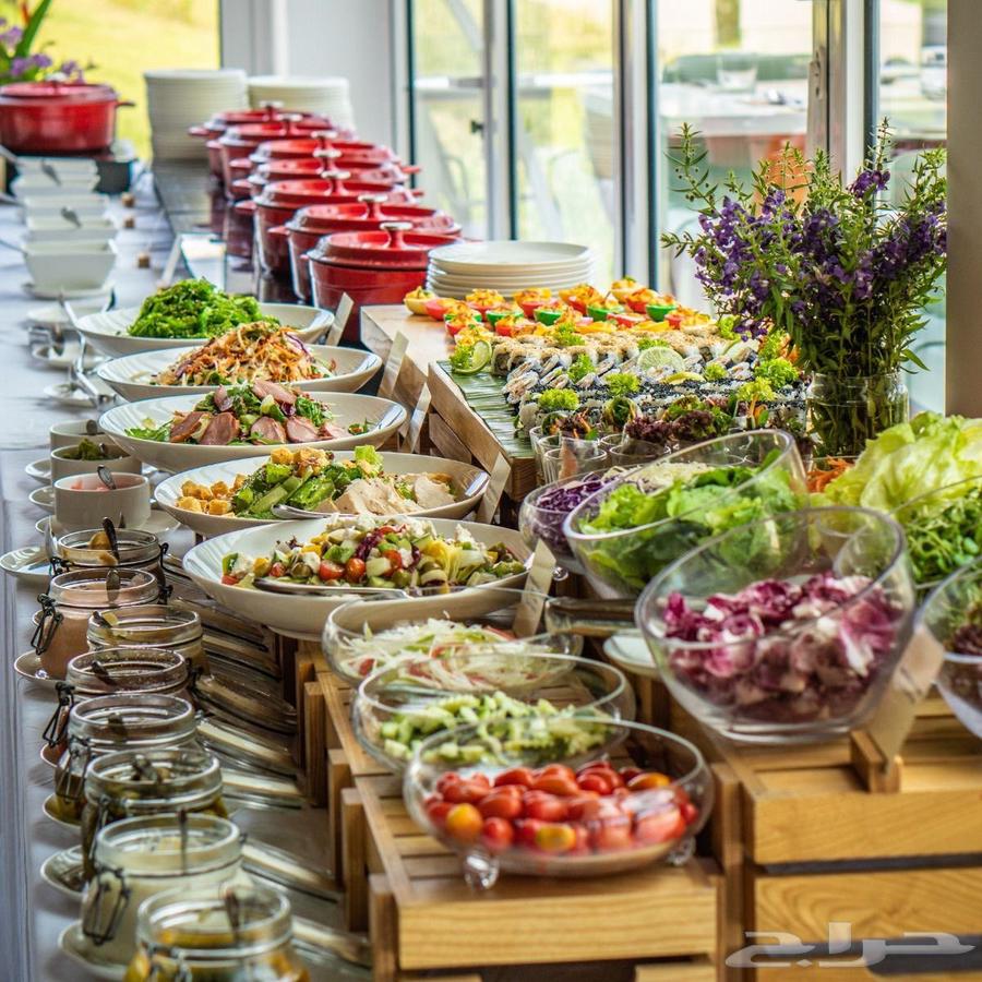 Catering and Open Buffets64667086009473113