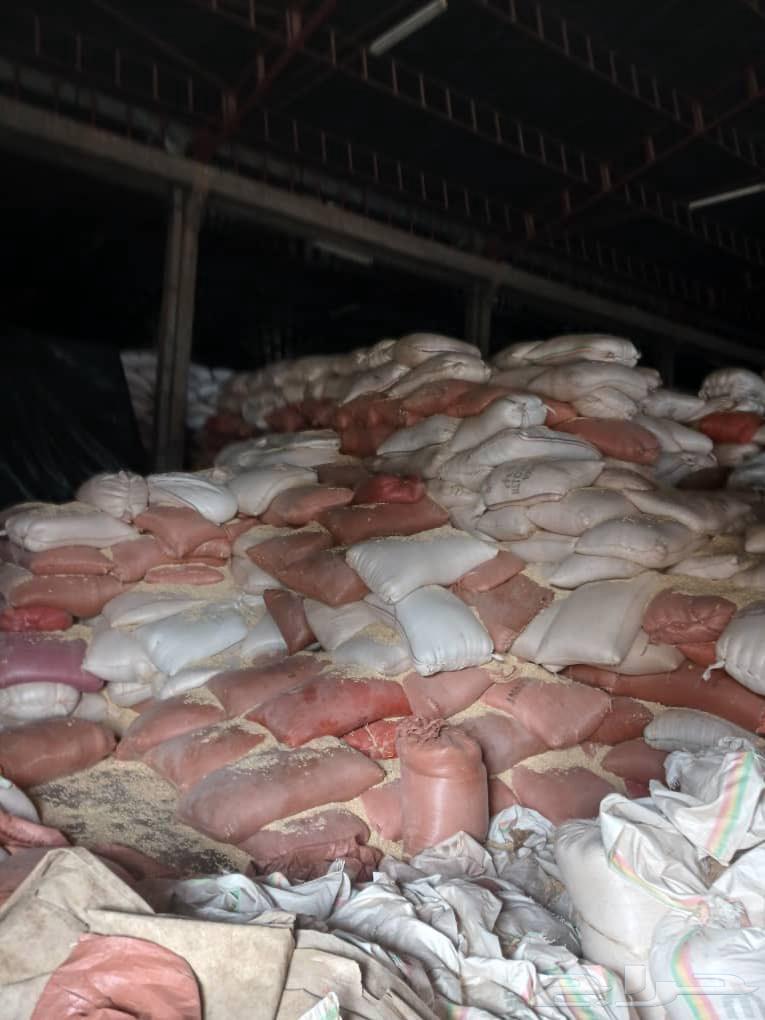 ذره شامي - اثيوبي64662764256131113