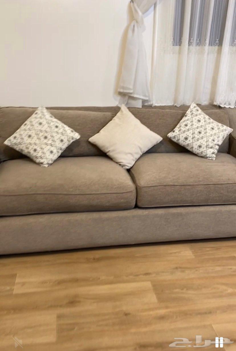 RLKA3566  3566 أربد  6945  حي عكاظ  الرياض 1472364676465846403110