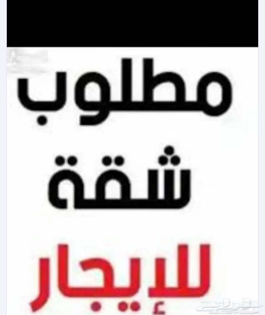 مطلوب شقه 4 او 5 غرف سكن عمال بطحاء قريش64150142518914110
