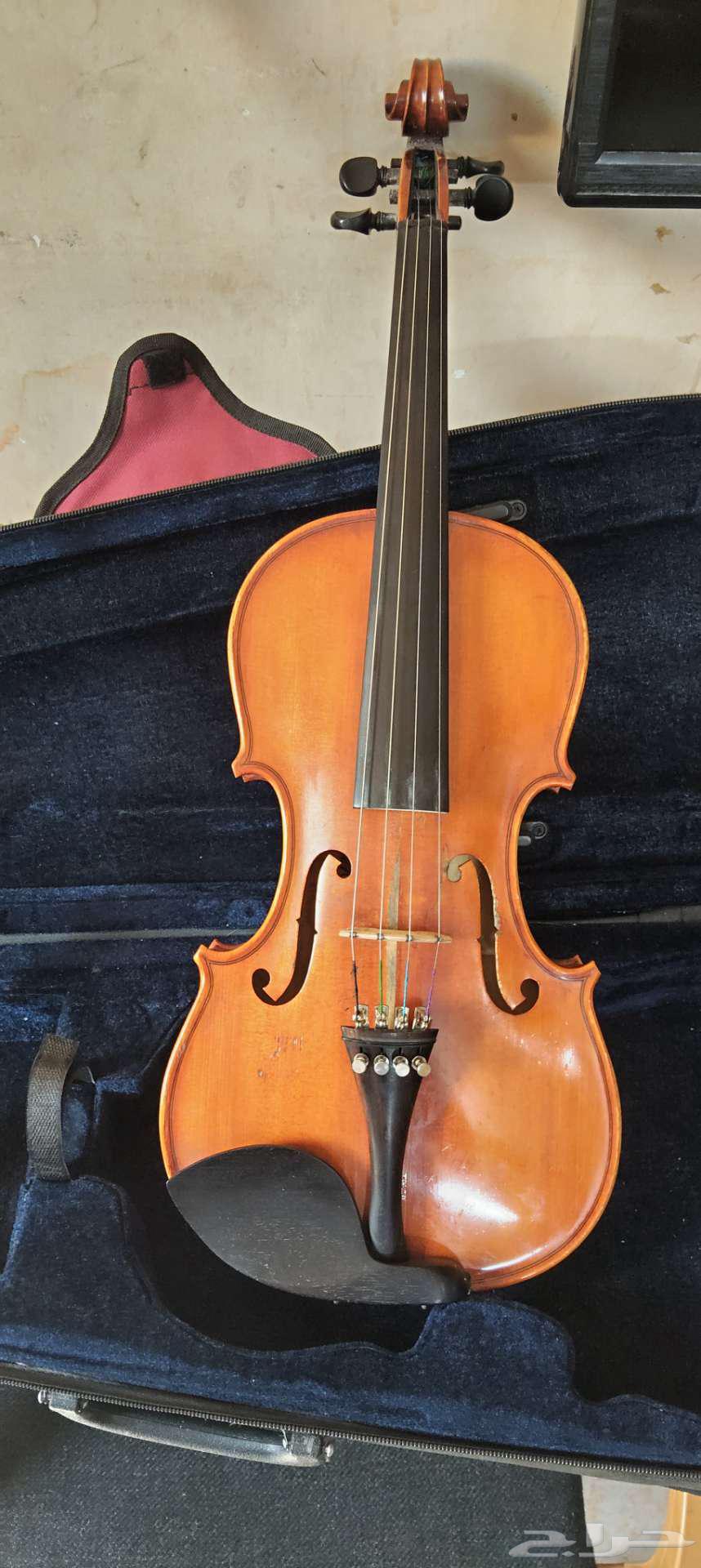 الرياض العزيزية64679462489729110