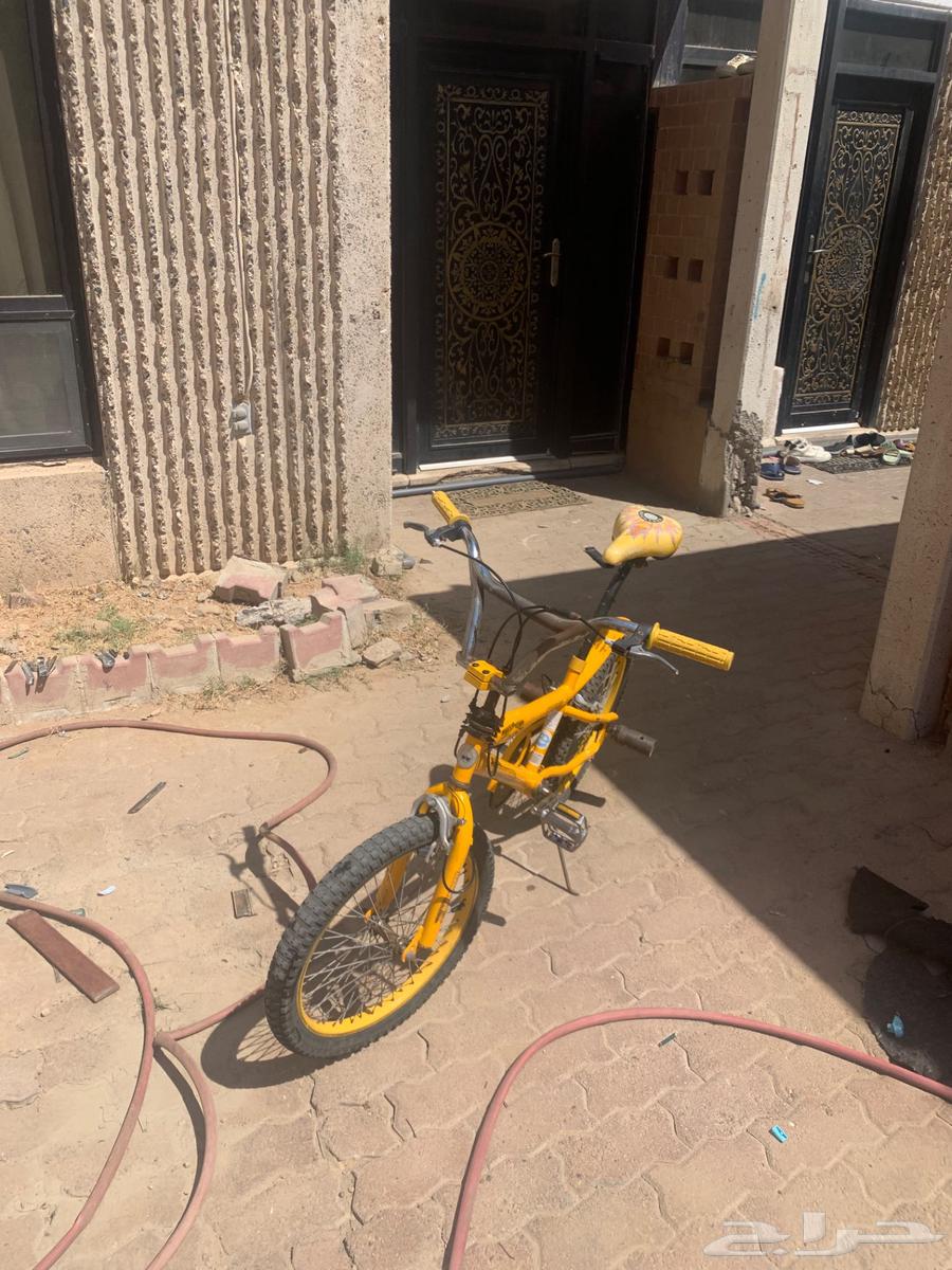 Cycl Cobra64679772967555110