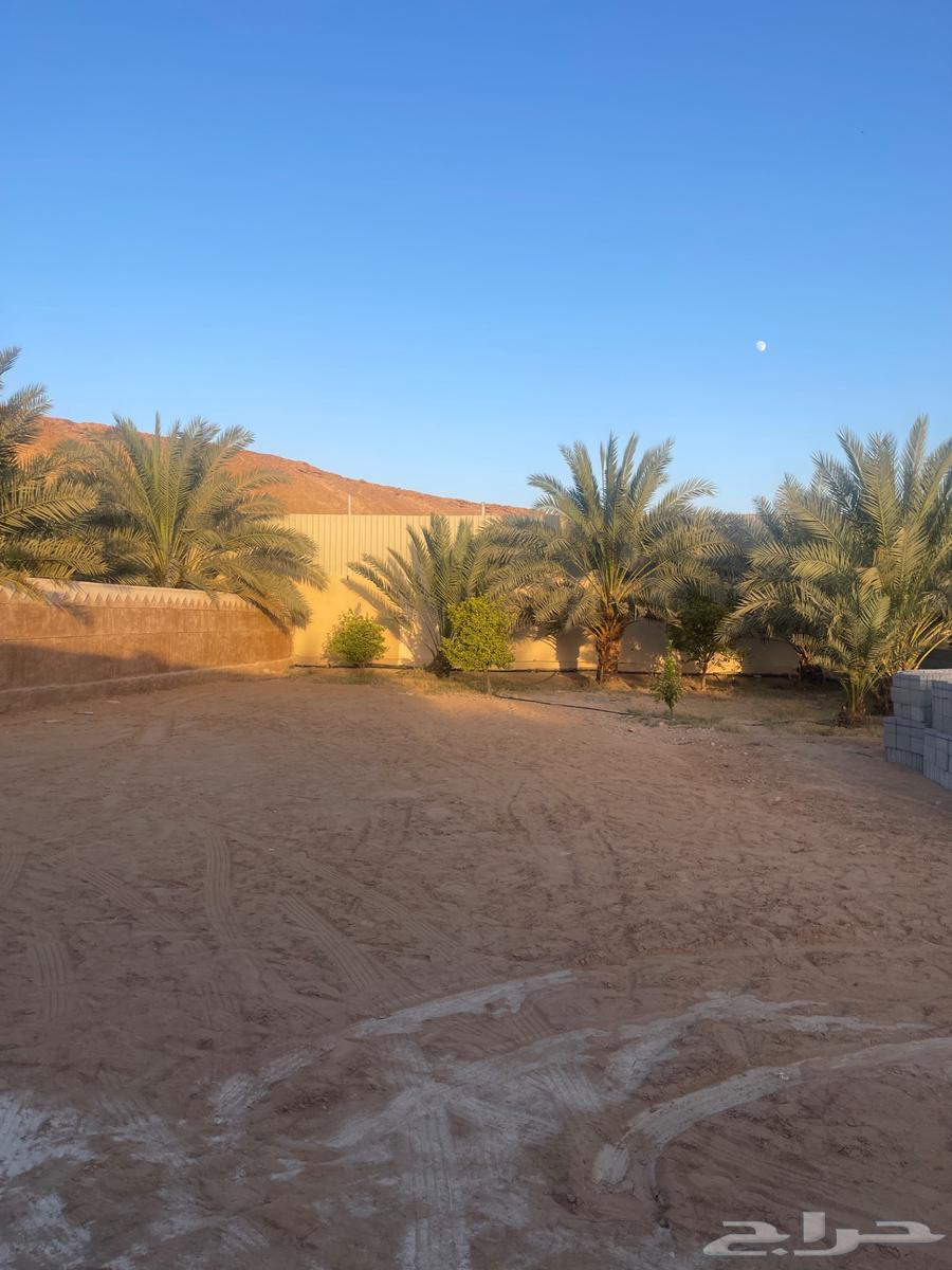 استراحة للايجار في حريملاء64150369936513111