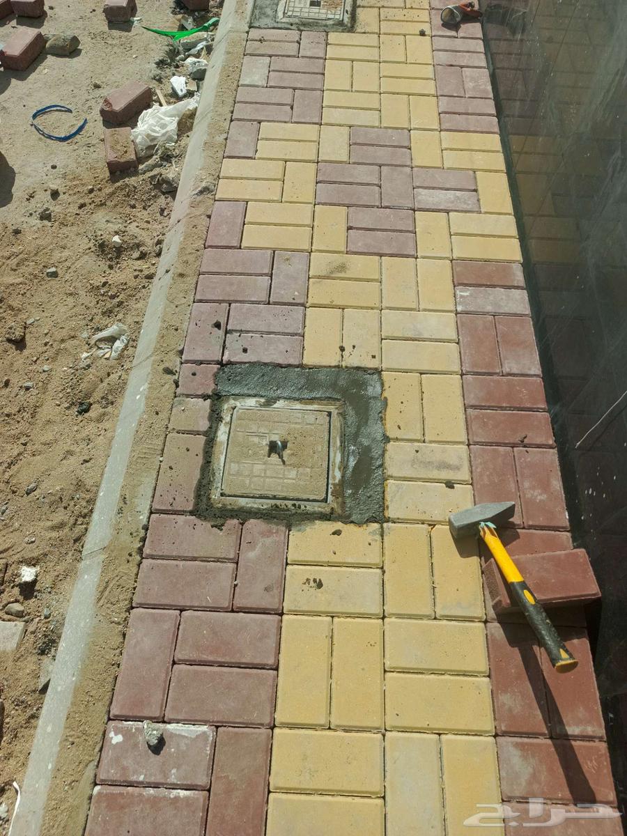 معلم انترلوك بندورة64503118011138114