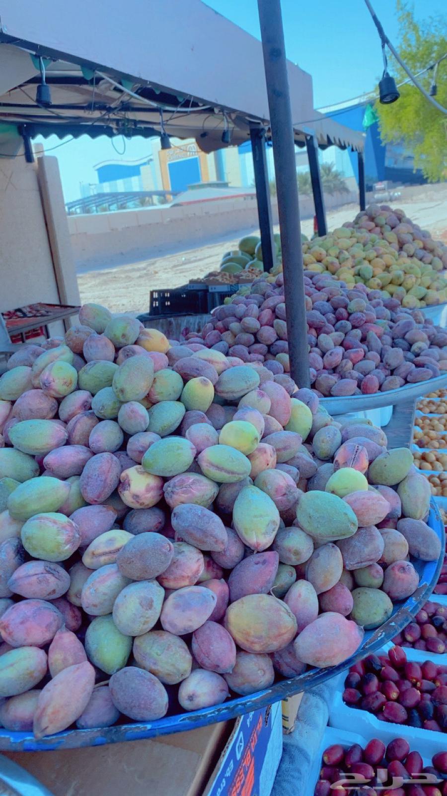 Almonds – Delivery Available to All Regions of the Kingdom64682020478851112