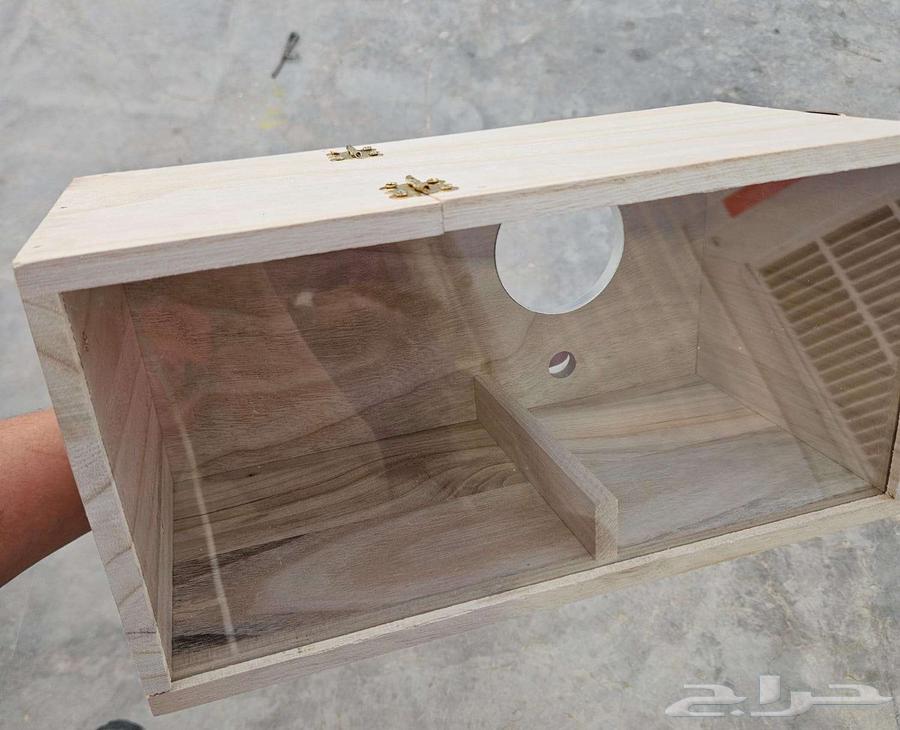 بياضة طيور شفافة64427156238337113