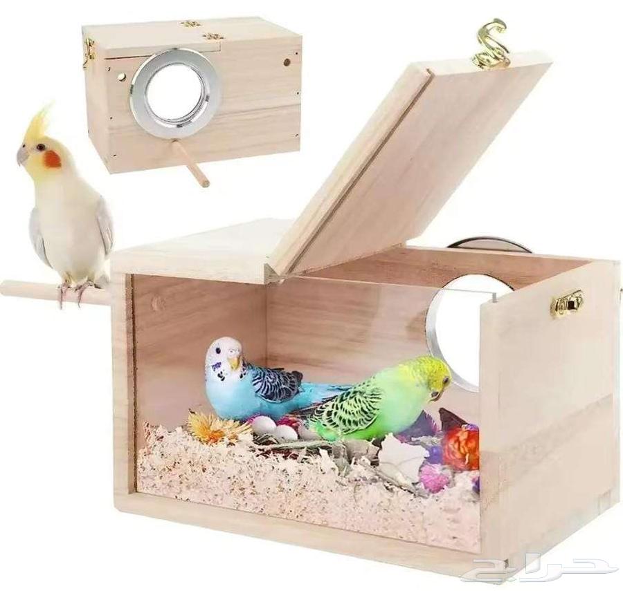 بياضة طيور شفافة64427156238337110