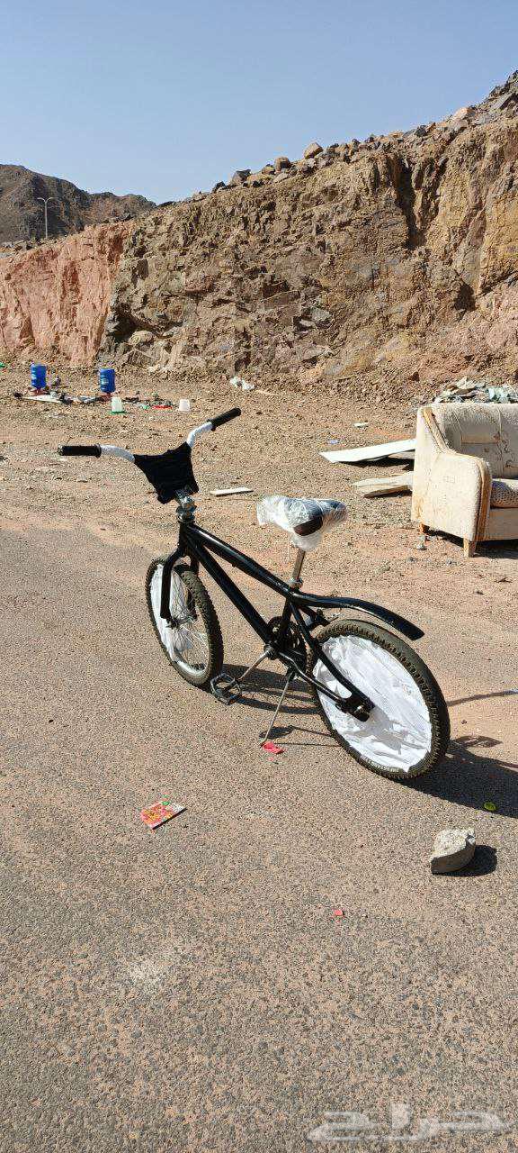 سيكل كوبرا مقاس 20 لون اسود للتفاهم خاص64679973313794113