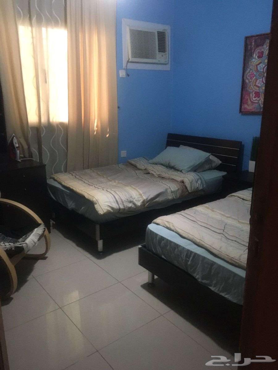 شقة للإيجار