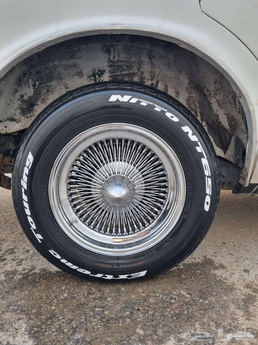 جنوط سلك لورايدر مقاس 1564570230792450114