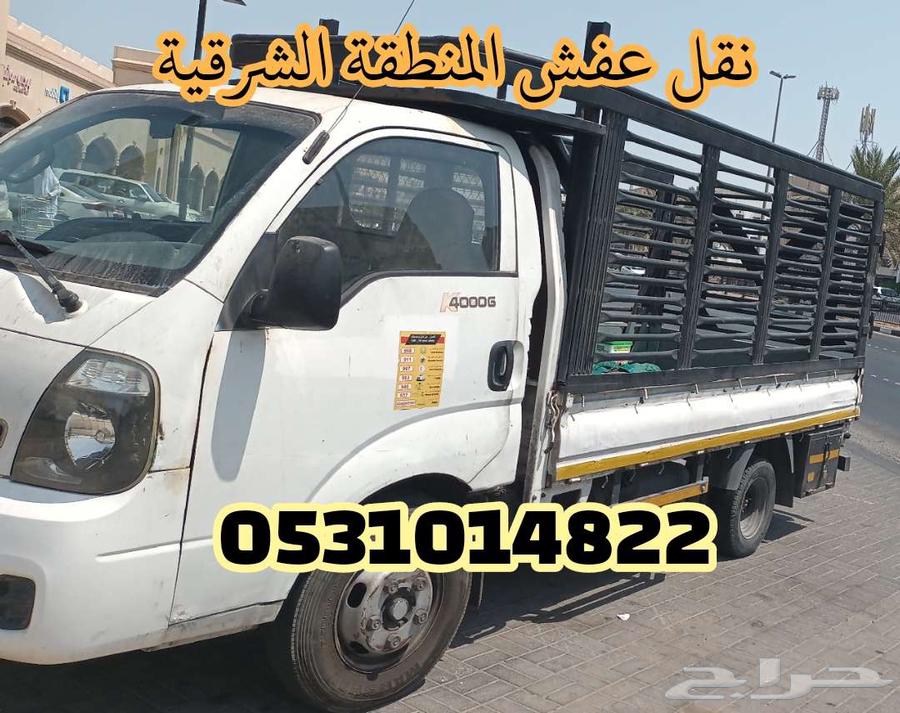 نقل عفش بسعر منافس دينا شركة64204579235715110