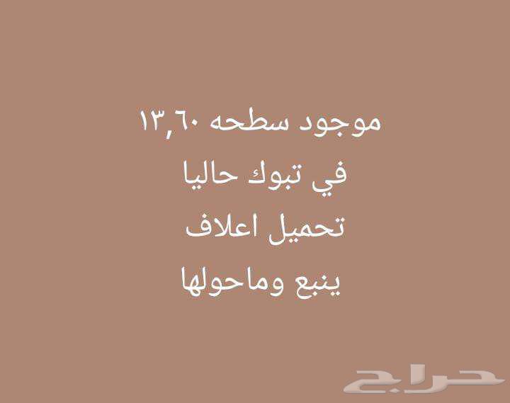 تحميل من تبوك مشوار64173119552643110